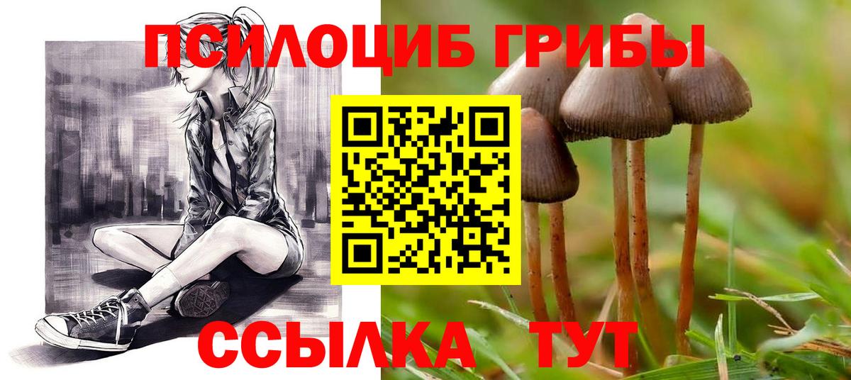 Жуковский  Псилоцибиновые грибы мицелий  Псилоцибиновые грибы Psilocybe  Вход с VPN 