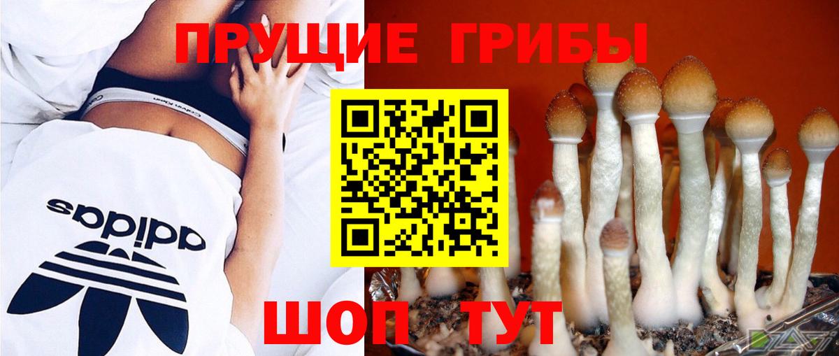 Галлюциногенные грибы MAGIC MUSHROOMS Жуковский